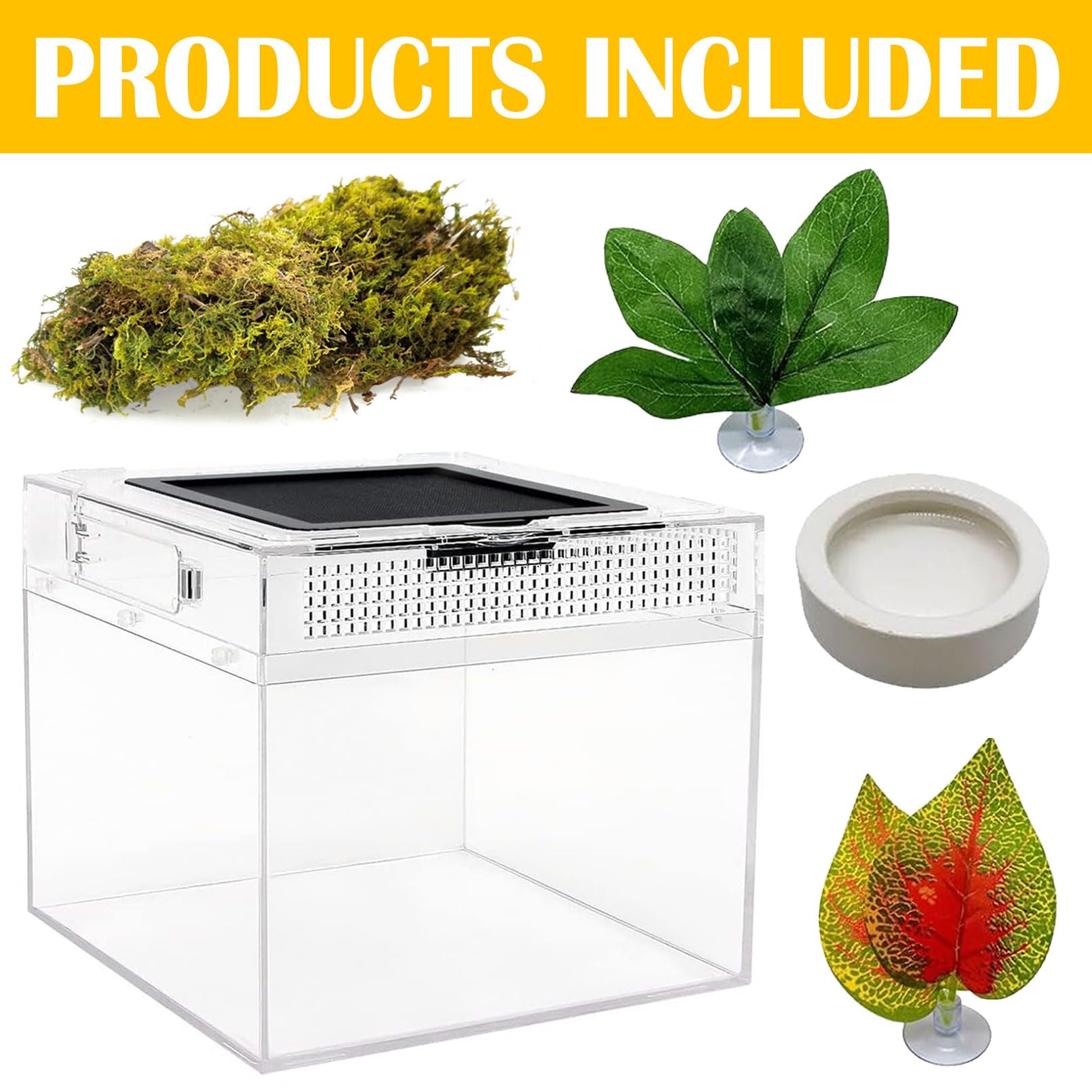 Acsist Reptile Terrarium, Jumping Spider Enclosure Starter Kit, Leopard Gecko Habitat Container, 8''X8''X7''Reptile Tank For Tar